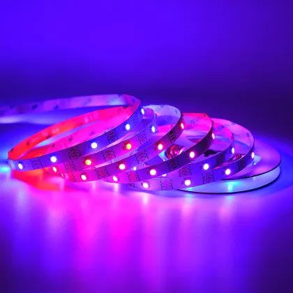 Best Selling 10mm Width RGB Light Strips with SMD5050 IC for Party Lighting