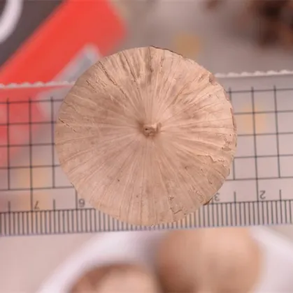 The black garlic The black garlic