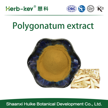 Extracto de poligonatum en polvo 10: 1 Polygonatum odoratum