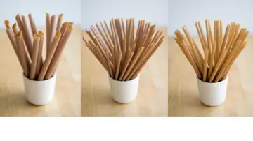 Fully biodegradable sugarcane fibers straws products