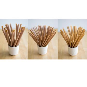 Fully biodegradable sugarcane fibers straws products