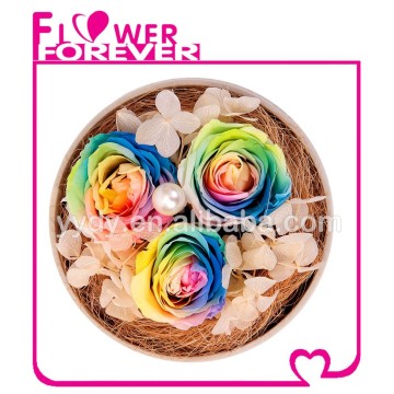 Luxury Gift Preserved Flower
