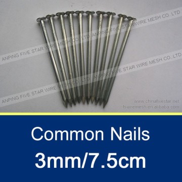 3.0mm/7.5cm Brightly Polished Common Nails