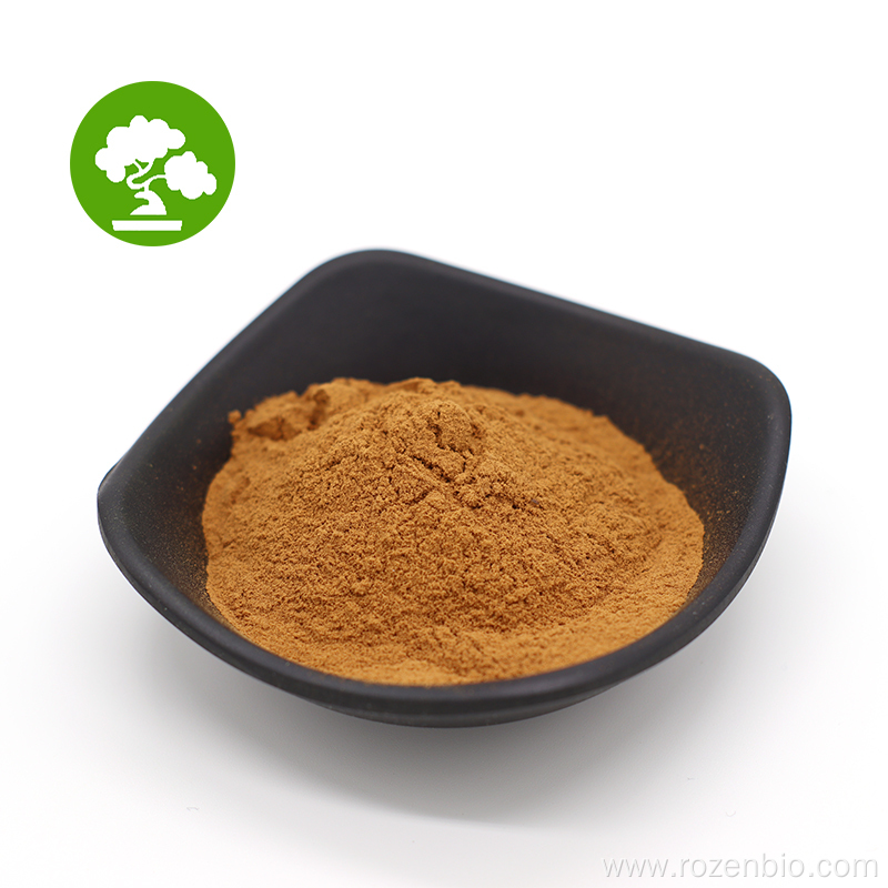 Natural Chaga Mushroom Extract Powder