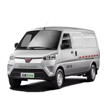 Wuling EV50 Cargo Van 2023-2024: veicolo logistico elettrico puro da 2 posti a 5 posti con opzione di refrigerazione