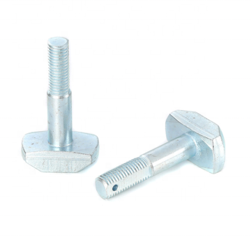 Factory Supplier of Carbon T-Bolt and Stainless T Bolts
