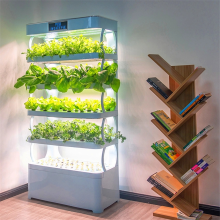 Vertikaler Hydroponik-Standpflanzer mit LED-Wachstumslicht