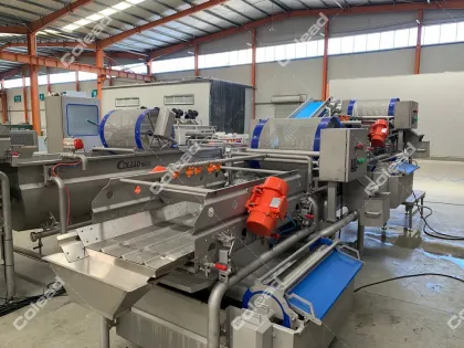 3000 kgs per hour Industrial Vegetable Washing Machine