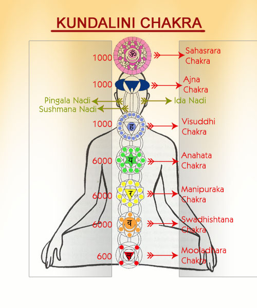 7 Seven kundalini Chakras 