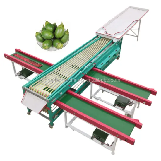 Fruit and Vegetable Grading Machine: Olive, Avocado, Citrus, Dates, Jujube, Potato, Taro, and Tomato Sorter for Sale