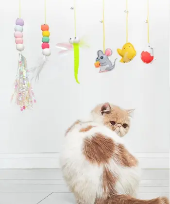 Cat Toys Kitten Toys Jump Exercise Interactive Toy