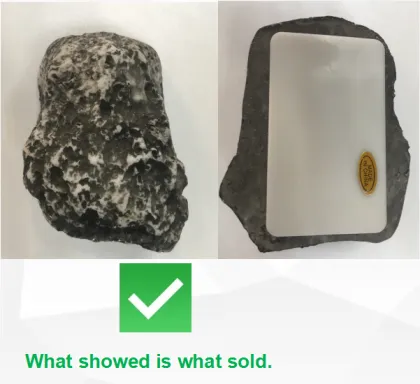 GIBBON Safe Secret Storage Container