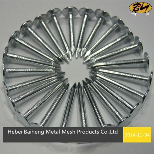 Common round iron wire spike