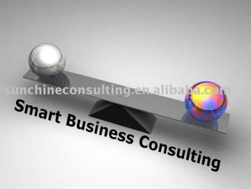 business consulting,consultancy