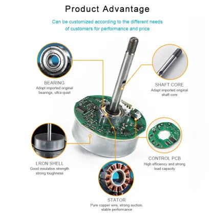 12V Brushless DC Fan Motors & 24V DC Vibration Motors for Home Appliances