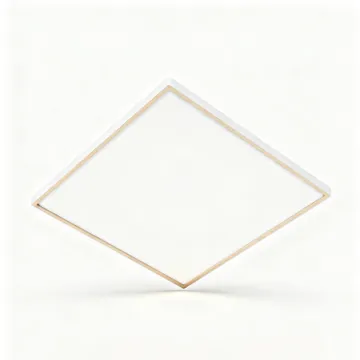 Warm White LED Ceiling Light