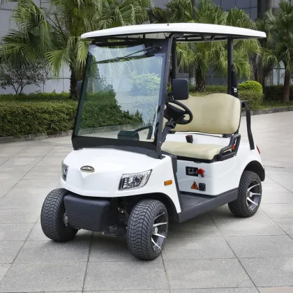 2 Seater Golf Cars Near Me