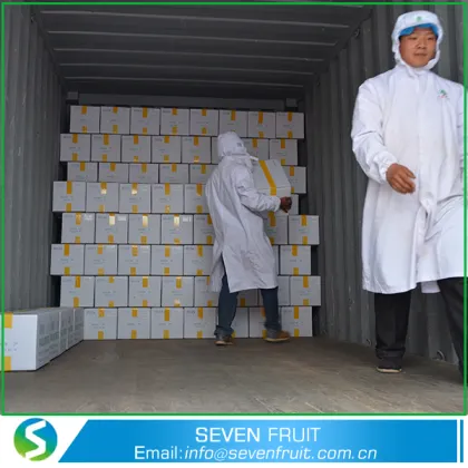 Grade A Walnut Kernels/Walnut Without Shell With High Protein18mm-24mm