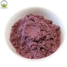 Hot selling blueberry extract powder in bulk
