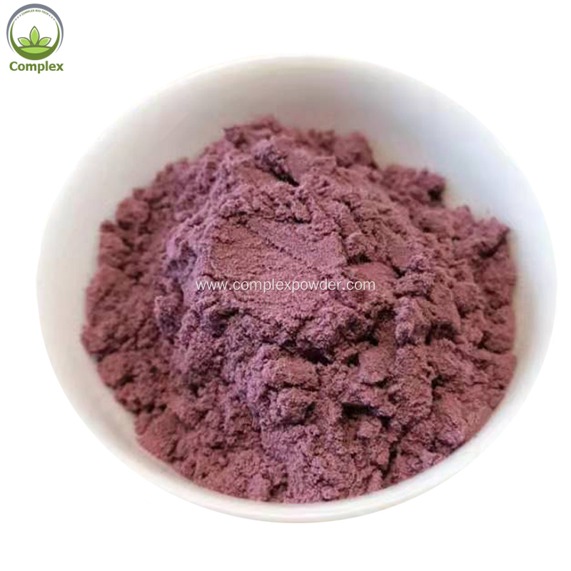 organic wild blueberry powder in bulk