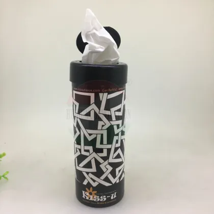 Car Tissues: Disposable Facial Tissues in Canisters for Perfect Cup Holder Fit