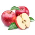 Appelschors Extract Phloridzin Poeder Huidbleekmateriaal