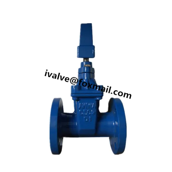 Cast Iron AWWA C509 C515 Gate Valve