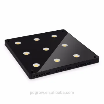Professional After-sales service Plant Light 800W Dimmable Led Grow Light City Farming
/