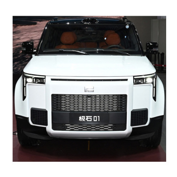 2024新しいエネルギー車を含む最も人気のある新しい中および大型SUV