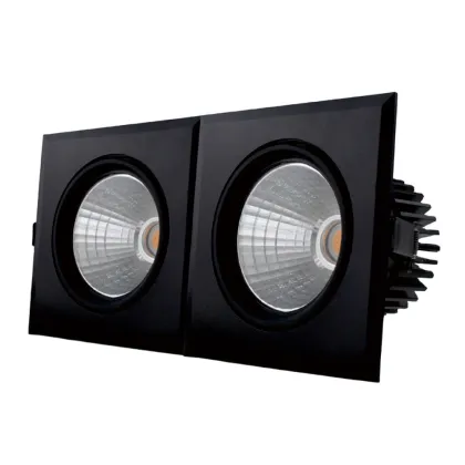 CE Approved Double Head AR111 LED Downlight 20W