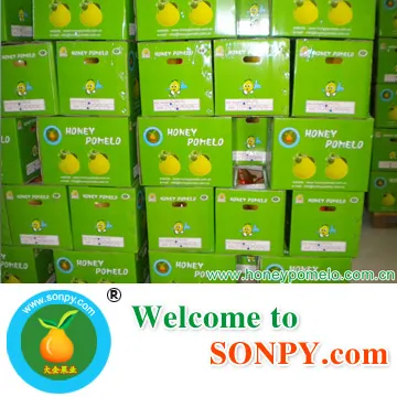 honey pomelo