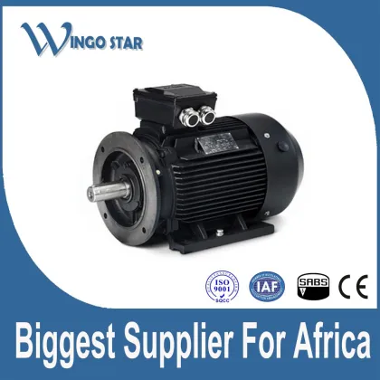 WINGO STAR iec standard three phase electric motor
