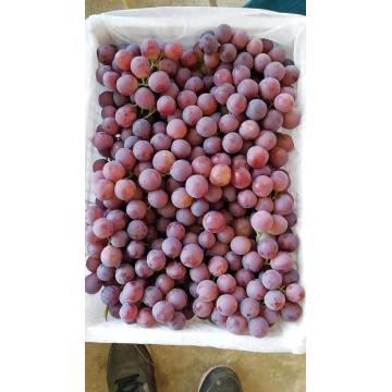 Red Seedless grapes nutrition