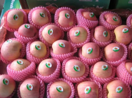 Fuji Apple Tasty apple