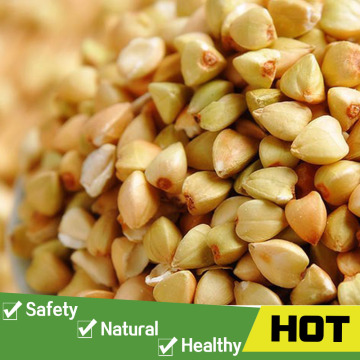 Bulk buckwheat kernel from china