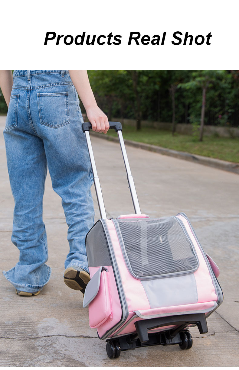 Pet Travel Carrier