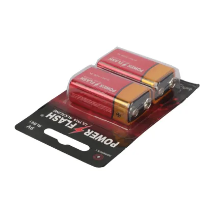 Competitive Price Power Flash Durable Brand 6LR61 9V Alkaline Battery