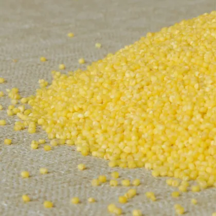 NianYuGou Gulong Gongmi 2.4kg/box