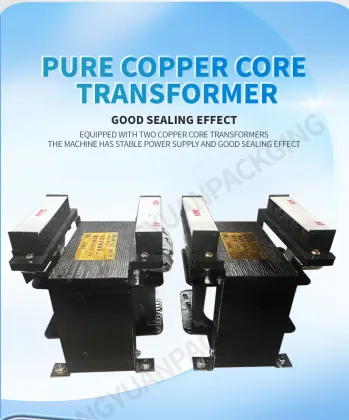 DZ600/2S Industrial Food Sealing Machine