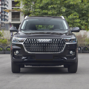 Hot Sale Haval Cars: H6, Gt, H9, M6, and Big Dog 2022-2023 Compact SUVs for Wholesale