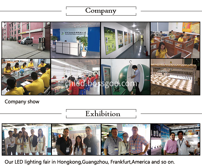 300W LED Shoe Box Light 