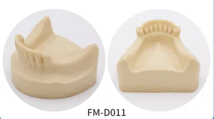 Dental Study Model Clinic Demonstration: Implant Model with Restoration and Implant Bridge