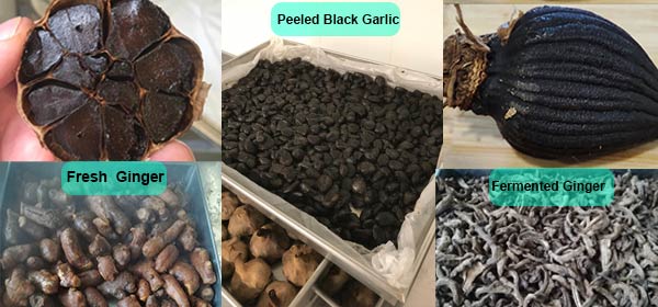 Black Garlic Application