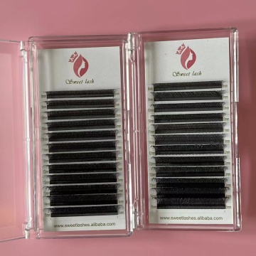 High Quality Hot Selling Y Shape Natural Soft 3D/4D/5D Eyelash Extensions