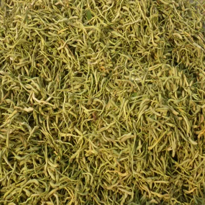 wild honeysuckle herbal tea