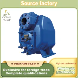 Solid Conveying Pump with High Lift Capability