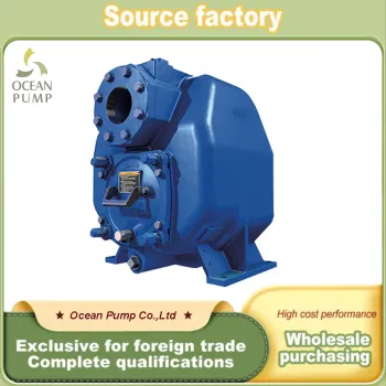 Solid Conveying Pump with High Lift Capability
