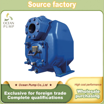 Solid Conveying Pump with High Lift Capability