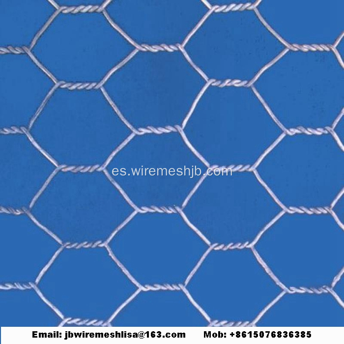 Red de alambre hexagonal galvanizada