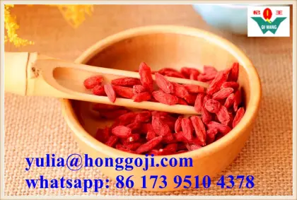 Dried fruit vegetarian food goji berries goji